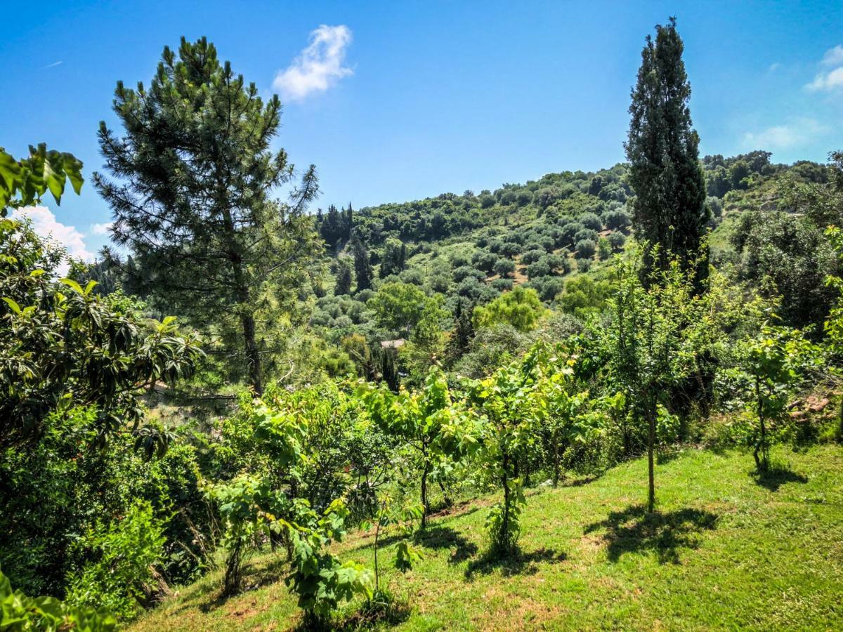 Hidden Gem In Nature Reserve Near The Beach - Corfu South Kritika  Kültér fotó