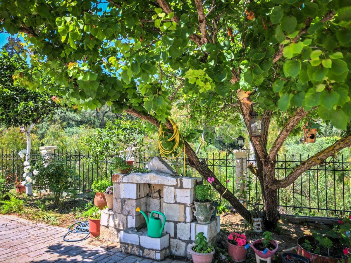 Hidden Gem In Nature Reserve Near The Beach - Corfu South Kritika  Kültér fotó