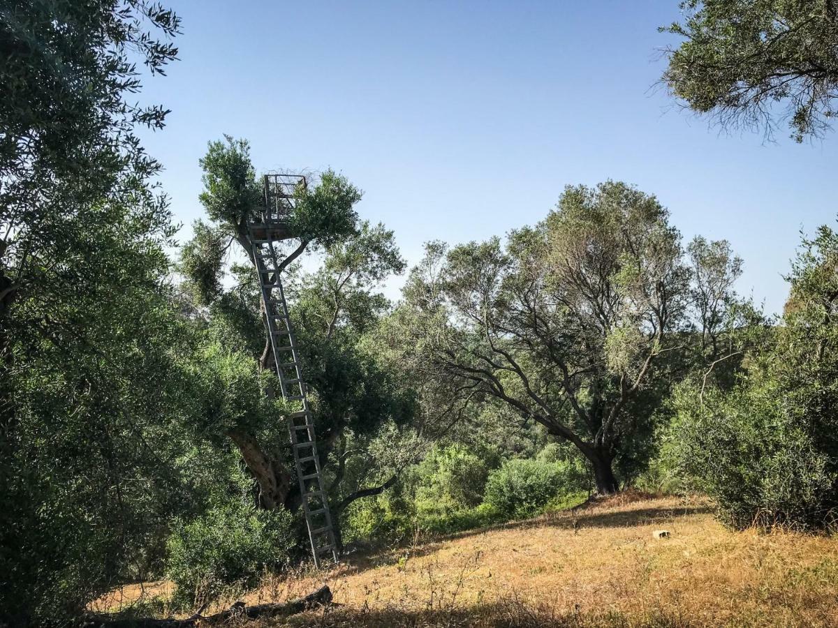 Hidden Gem In Nature Reserve Near The Beach - Corfu South Kritika  Kültér fotó